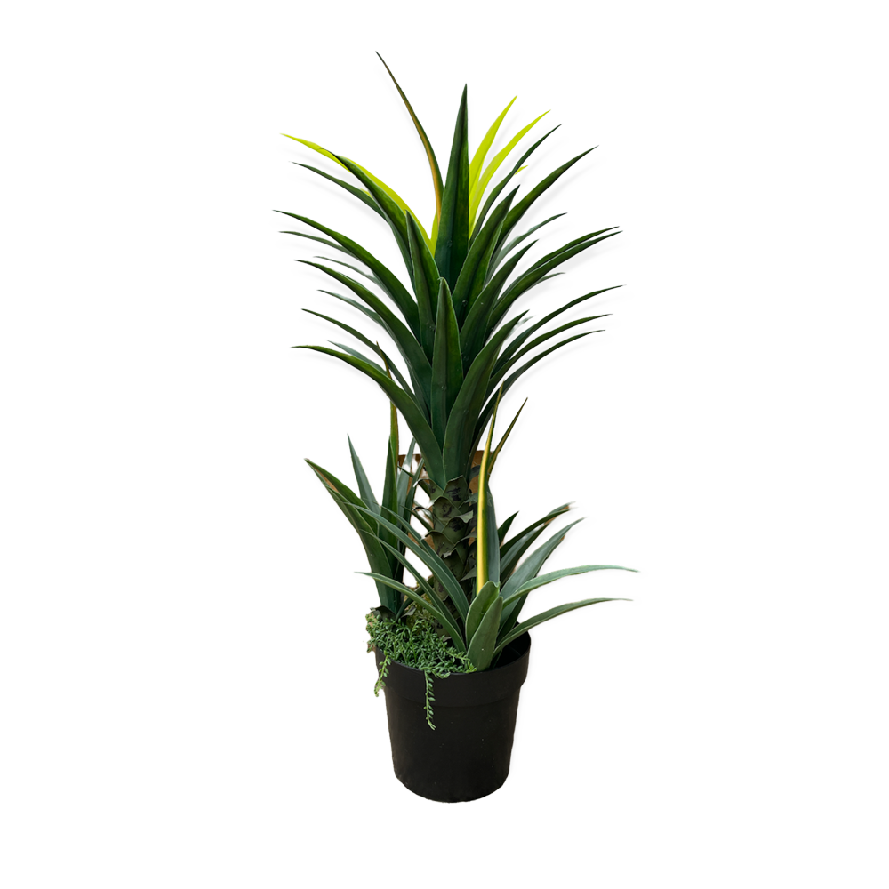 The Yukka Artificial Plant 120cm Array Wedding and Event Hire