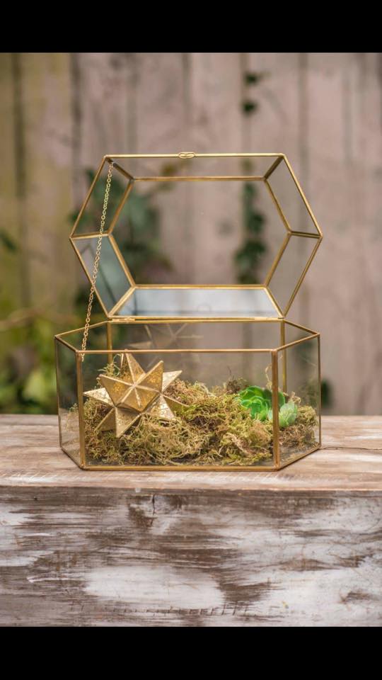 d516 gold geometric glass terrarium card box For the Love of Pete Salem, Oregon