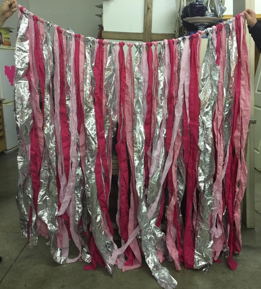 D810 Hot Pink and SIlver Backdrop For the Love of Pete Salem, Oregon