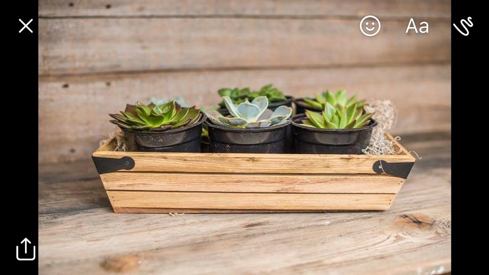 v324 rectangle wood crate tray For the Love of Pete Salem, Oregon