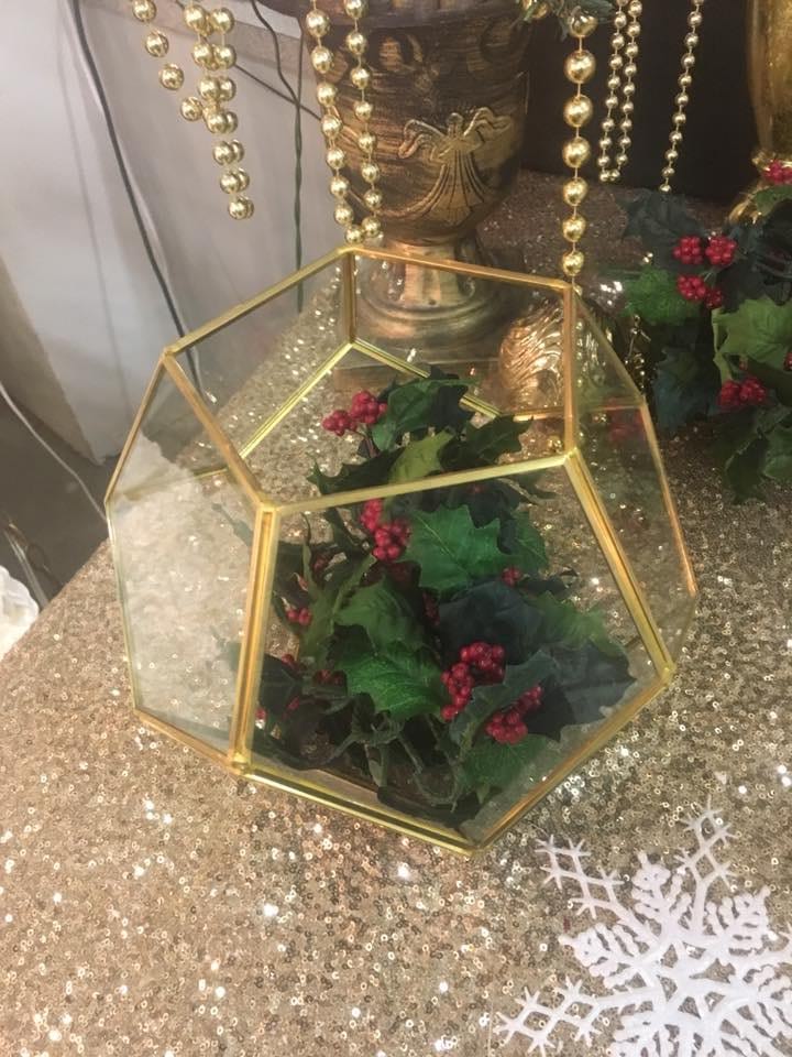 V483 Gold Terrarium Huge hexagon For the Love of Pete Salem, Oregon