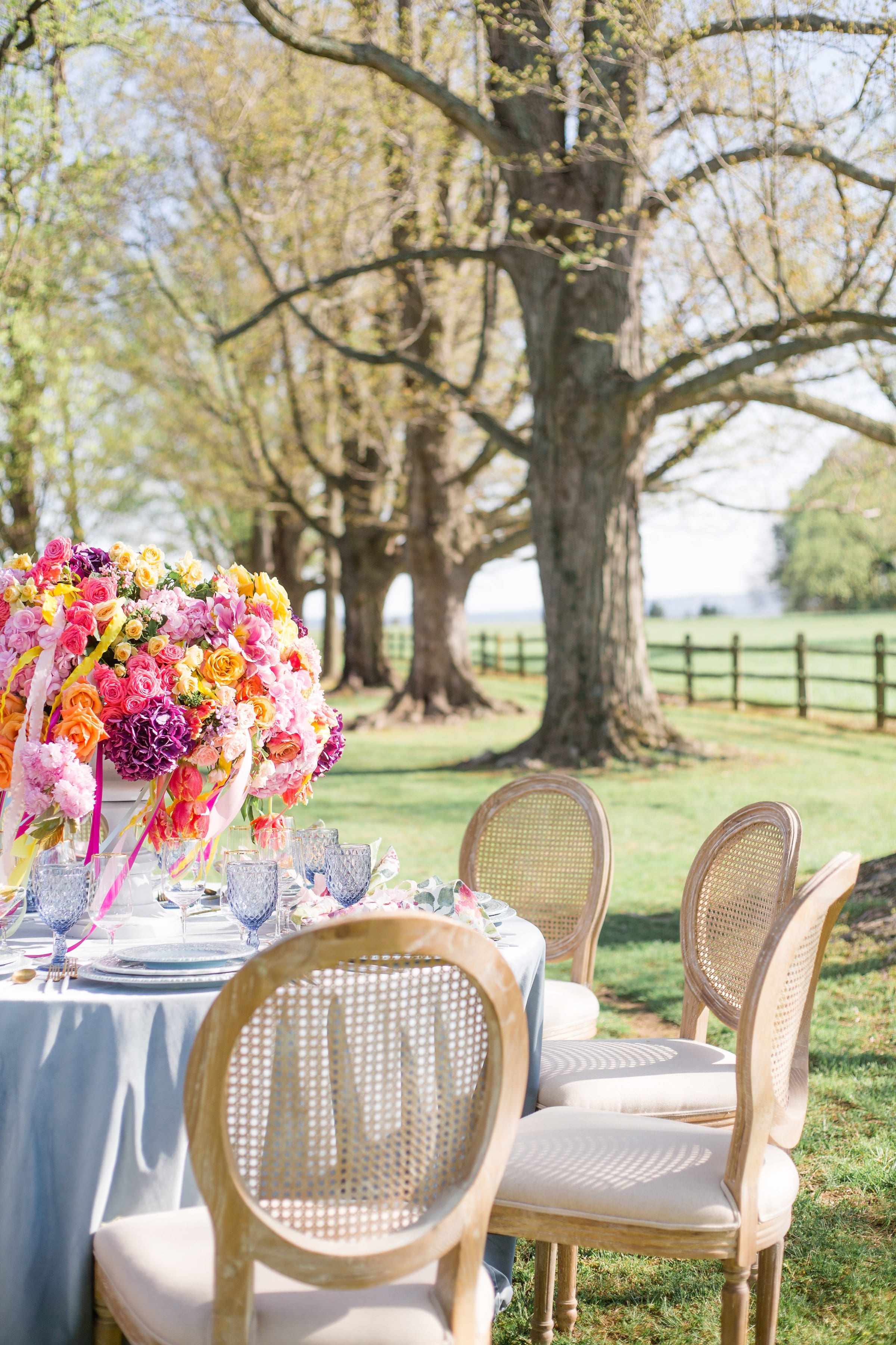 King louis chair cloth back rentals Charlottesville VA